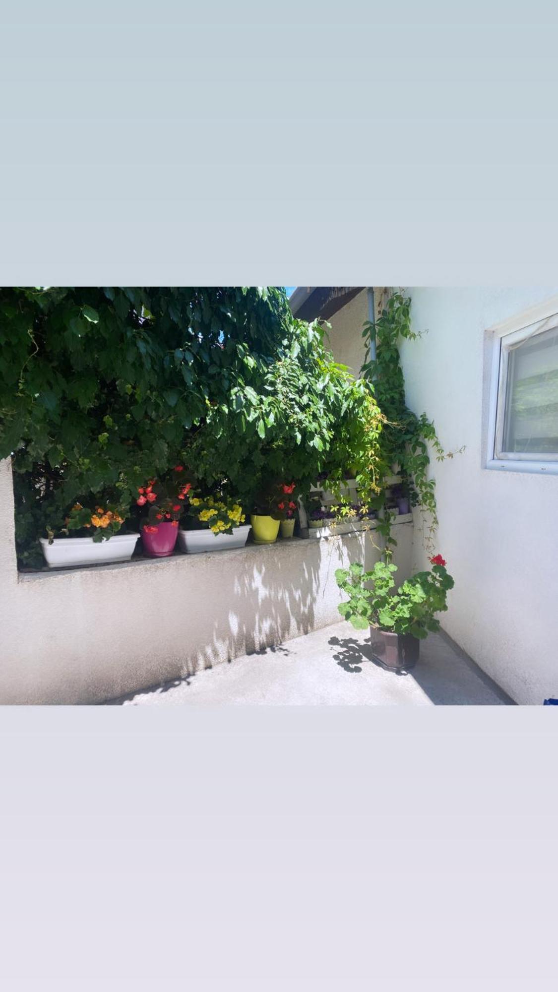 Galeb Apartment Ohri Dış mekan fotoğraf
